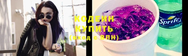 шишки Костерёво