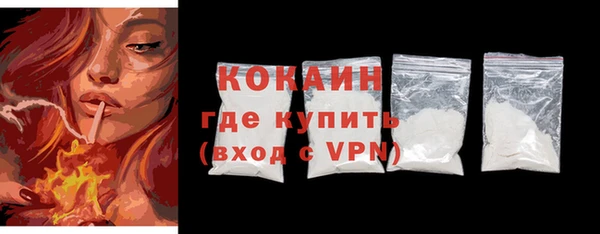 шишки Костерёво