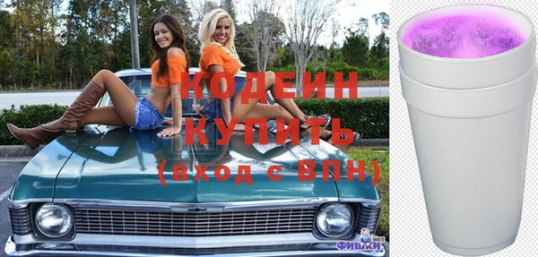 шишки Костерёво