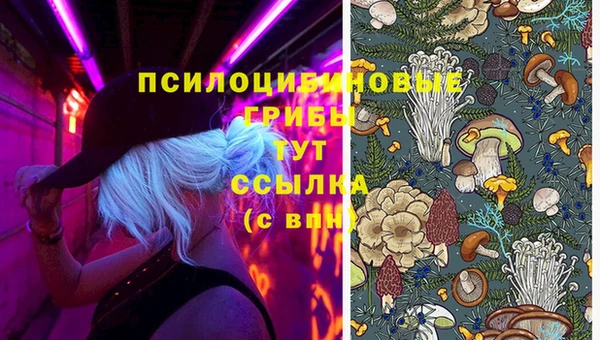 mdpv Корсаков
