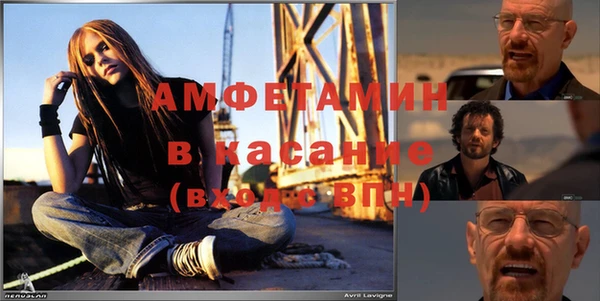 шишки Костерёво