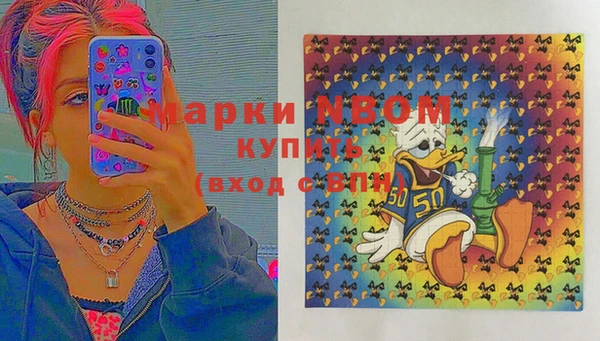 шишки Костерёво